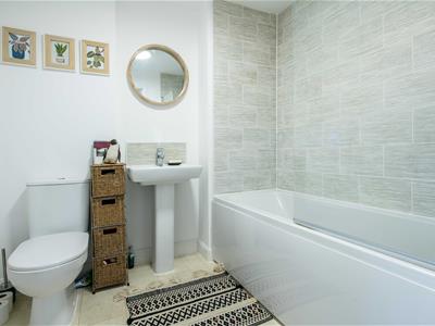 Picture 21